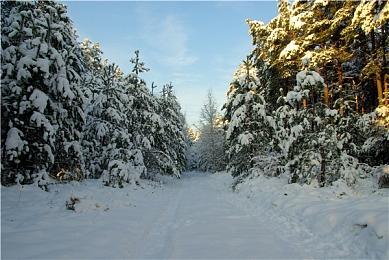 传Capcom 2024年没有《生化危机》重制版游戏